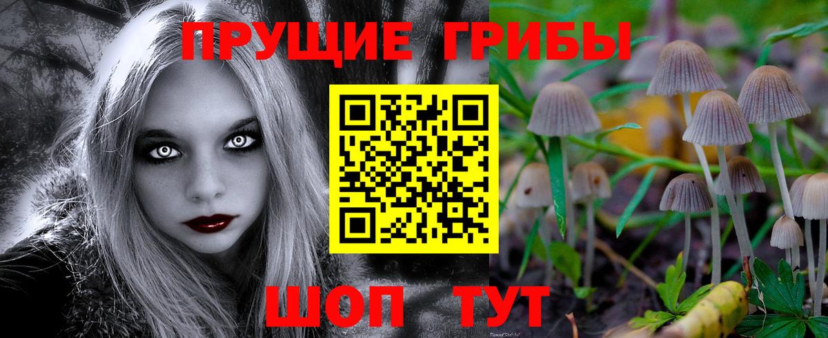 Галлюциногенные грибы MAGIC MUSHROOMS Великие Луки
