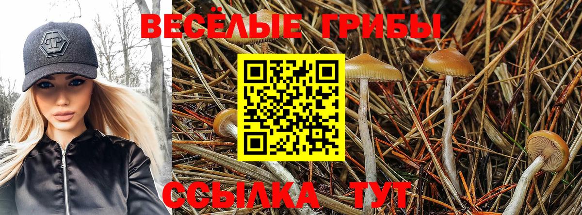 Великие Луки  Галлюциногенные грибы GOLDEN TEACHER  Вход с VPN 